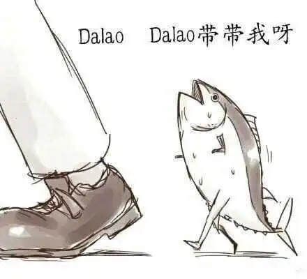 西檬之家brat属性是什么? 一