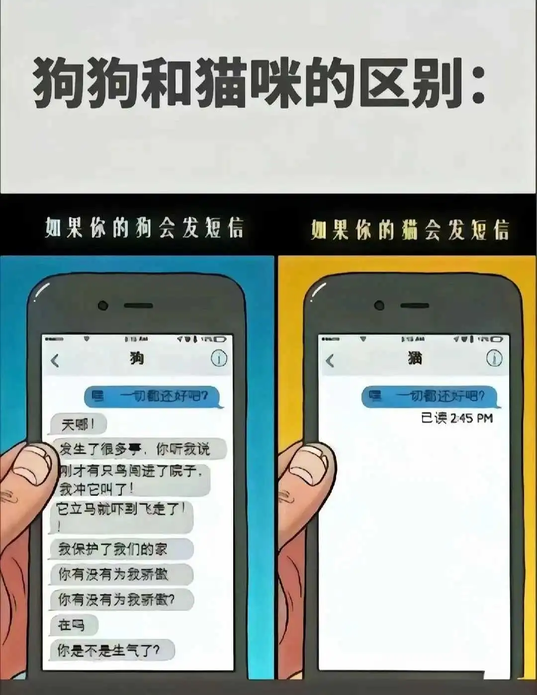 西檬之家斯慕圈新人如何入门？ 一
