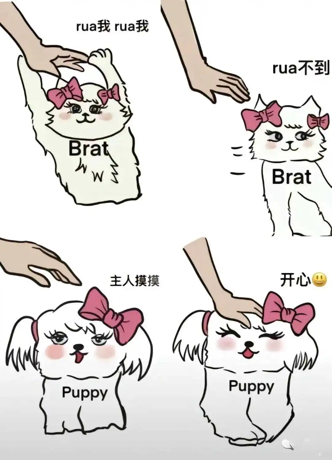 西檬之家BDSM新人如何入门? 一