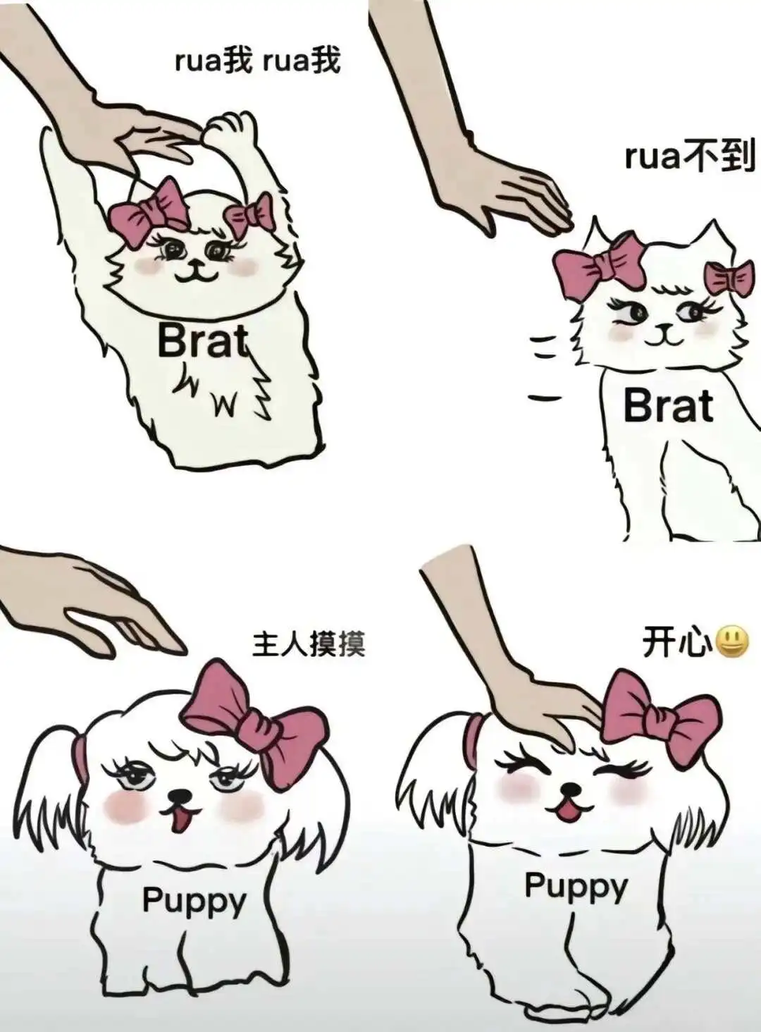 西檬之家K8是什么?字母圈新人必读 一