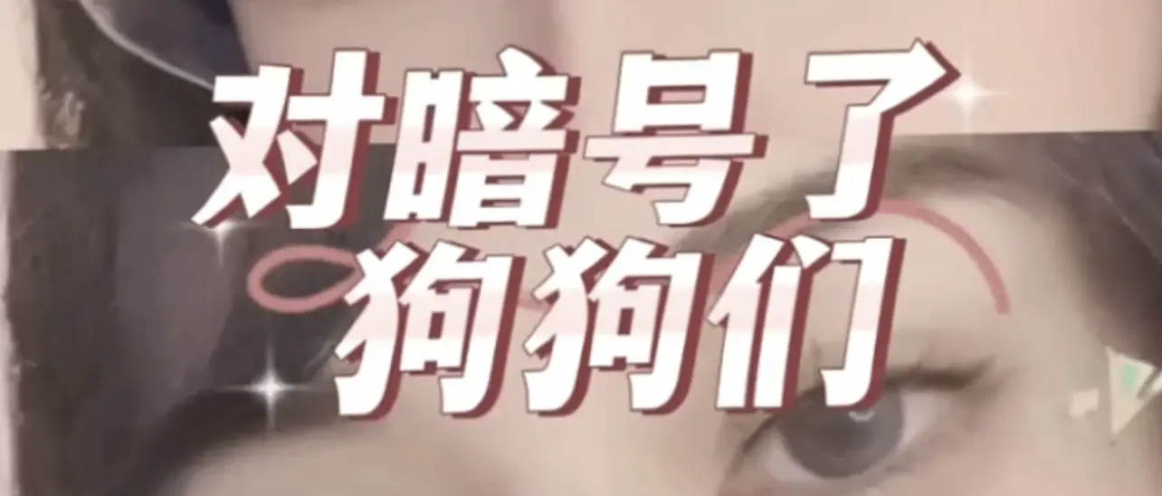 西檬之家字母圈s属性解析 一