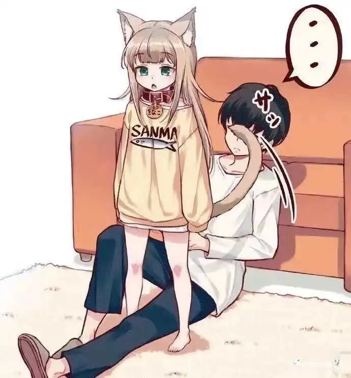 西檬之家S倾向是什么? 一