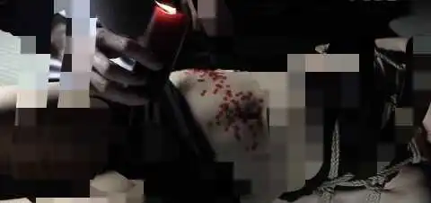 西檬之家ddlg是什么？你的字母圈属性是什么？ 一
