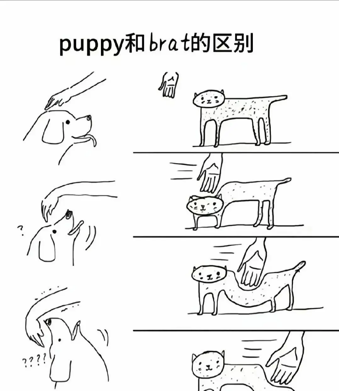 西檬之家K9是什么？ 一