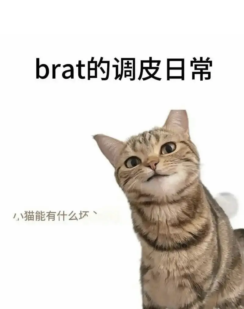 西檬之家你是S属性吗?揭秘字母圈支配者特质 一