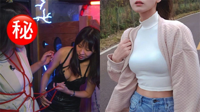 西檬之家k9是什么? 一