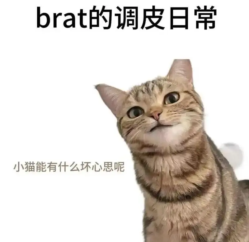 西檬之家什么是s倾向? 一