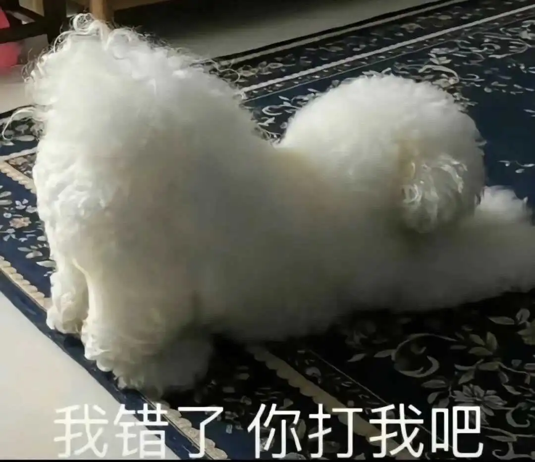 西檬之家brat属性什么意思？字母圈新人入圈 一
